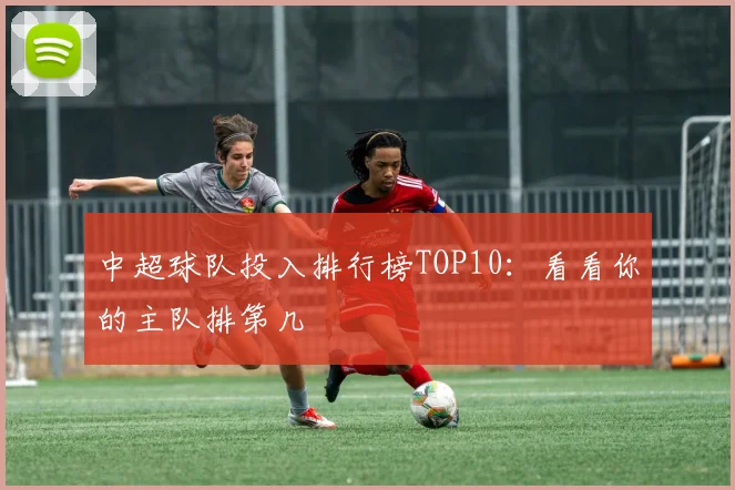 中超球队投入排行榜TOP10：看看你的主队排第几