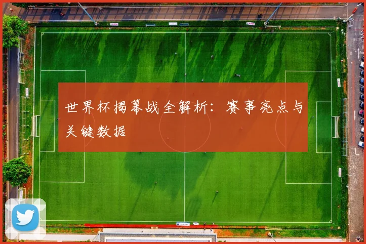 世界杯揭幕战全解析：赛事亮点与关键数据