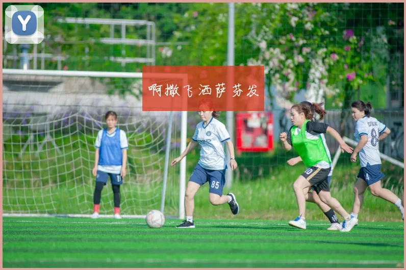 葡萄牙2008年欧洲杯赛程回顾关键场次与出线影响及战术看点