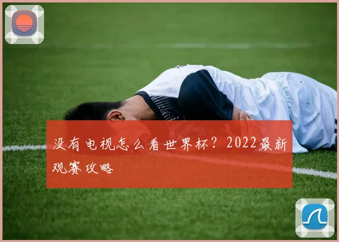 没有电视怎么看世界杯？2022最新观赛攻略