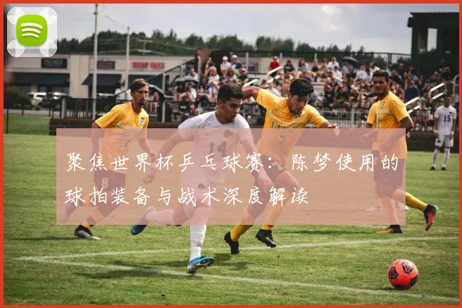 聚焦世界杯乒乓球赛：陈梦使用的球拍装备与战术深度解读