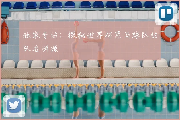 独家专访：探秘世界杯黑马球队的队名渊源