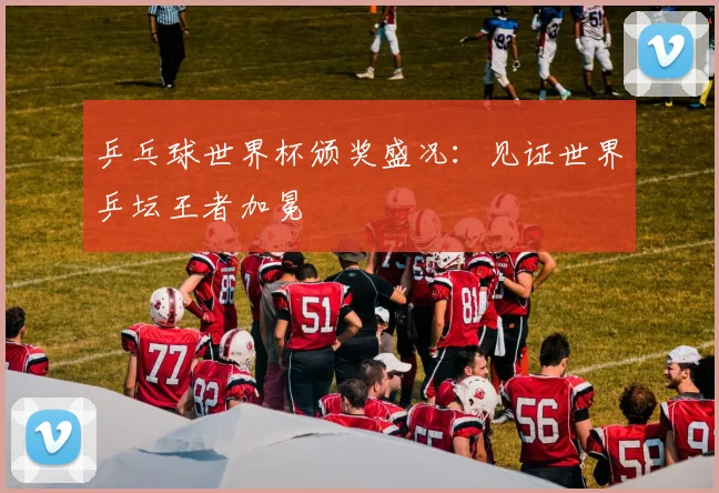 乒乓球世界杯颁奖盛况：见证世界乒坛王者加冕