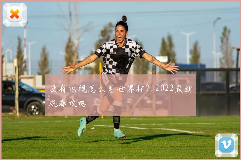 没有电视怎么看世界杯？2022最新观赛攻略