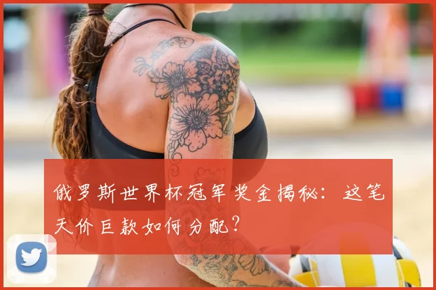 俄罗斯世界杯冠军奖金揭秘：这笔天价巨款如何分配？