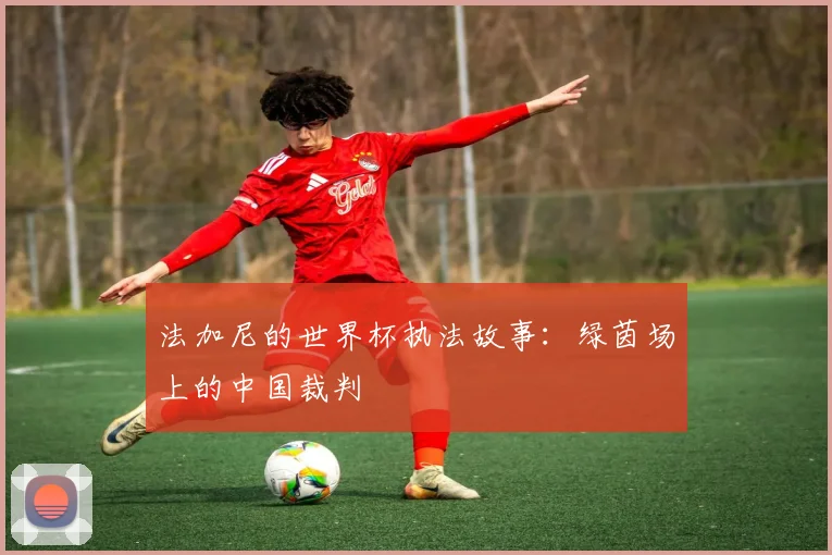 法加尼的世界杯执法故事：绿茵场上的中国裁判