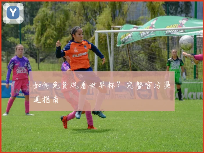 如何免费观看世界杯？完整官方渠道指南