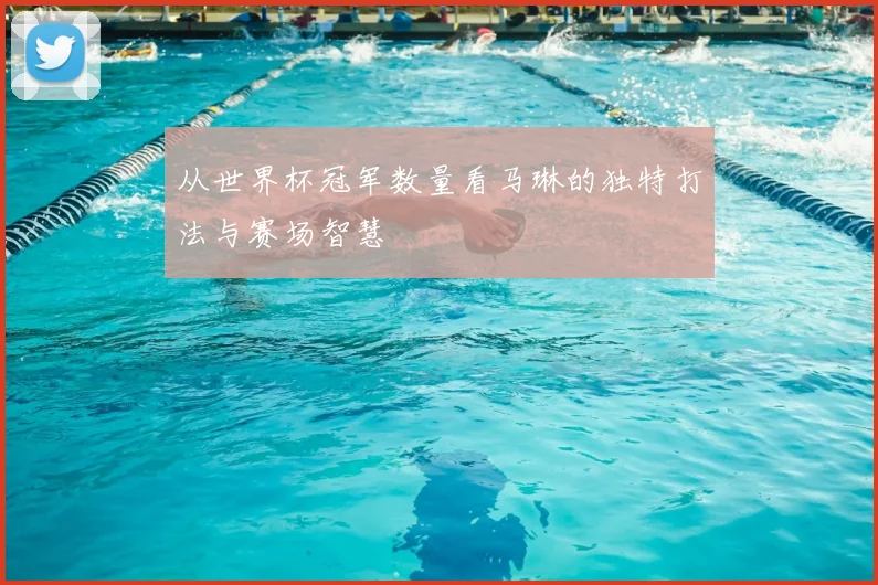 从世界杯冠军数量看马琳的独特打法与赛场智慧